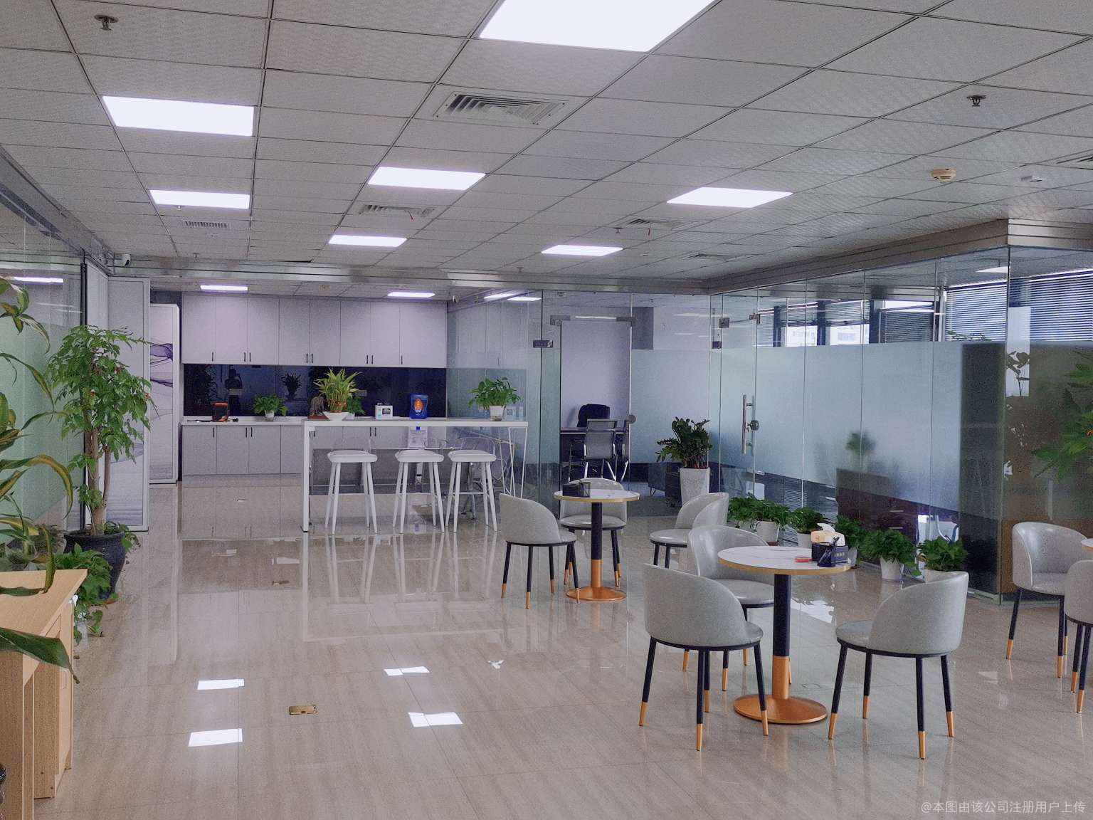 盛銀商務咨詢 專業商務咨詢服務的引領者